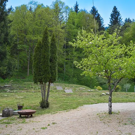 Grajski Kamp - Pitch Your Own Tent Campsite